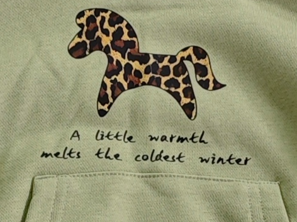 2–5Y Kids Sage Green Leopard Horse Print Hoodie & Wide Leg Pants 2-Piece Casual Set, MOQ 10 or 20 pieces, available WG26171